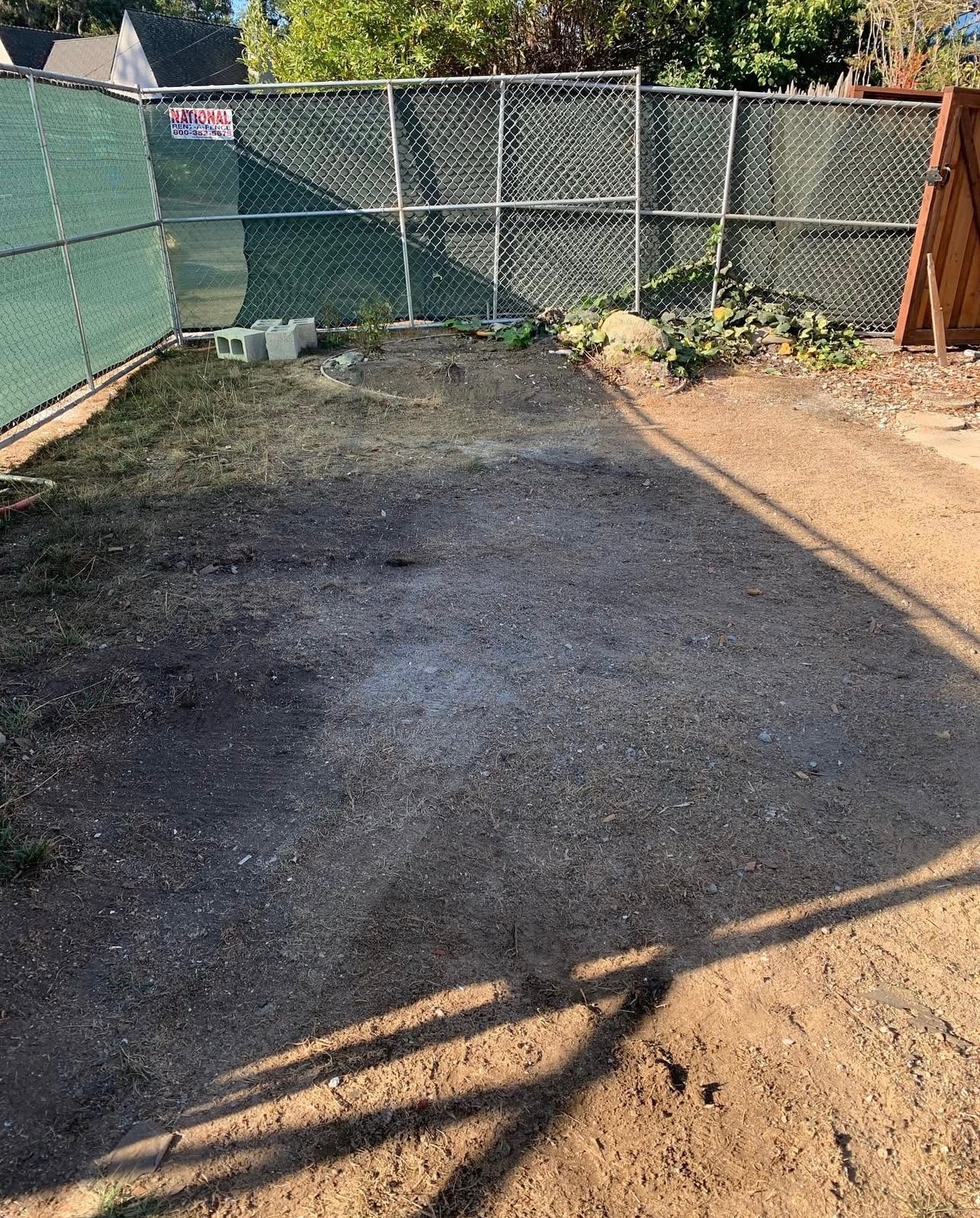 A clean residential driveway after junk removal
